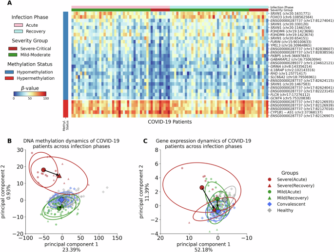 Fig. 3: Multiomic Landscape of COVID-19 Recovery in Mild-Moderate and Severe-Critical Groups.