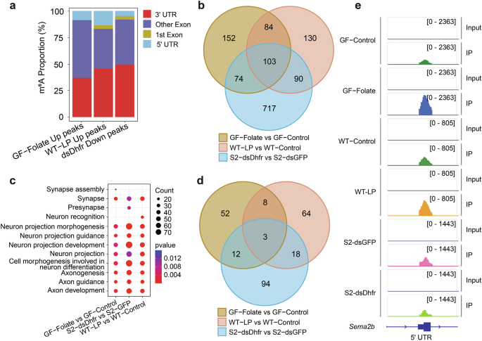 Fig. 5: Comprehensive analysis of Drosophila MeRIP-seq data to show the effect of folate on m6A modification.