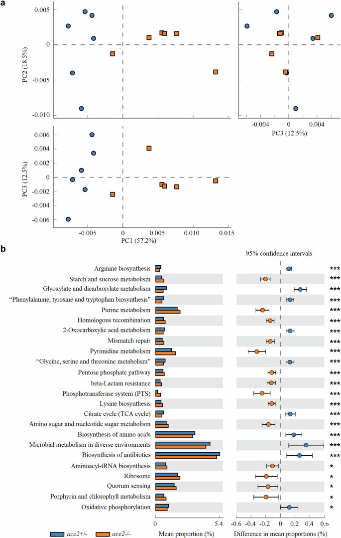 Fig. 4: Disruption of Ace2 in zebrafish significantly altered the bacterial functional in gut.