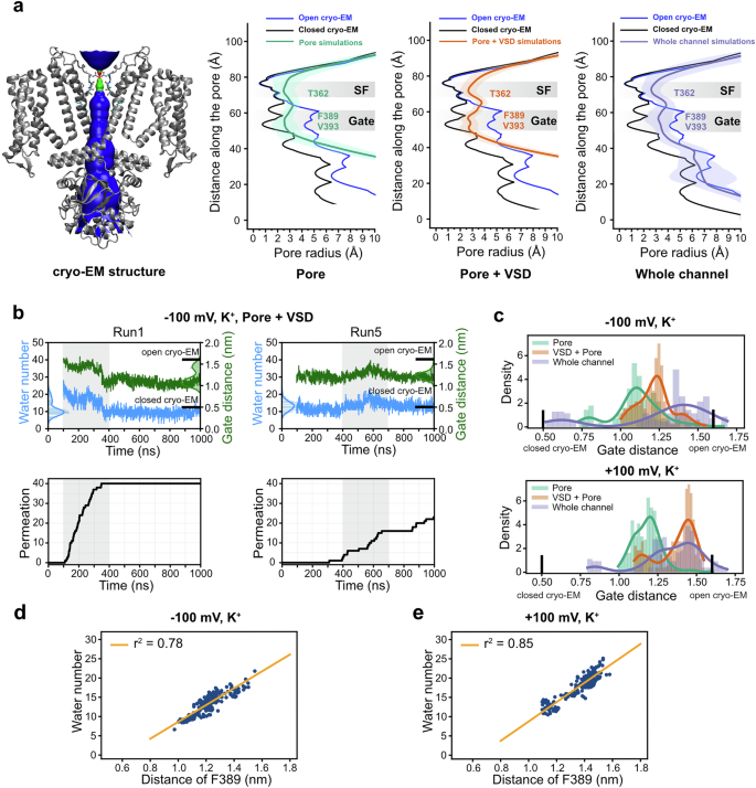 Fig. 5: Central cavity gate fluctuation.