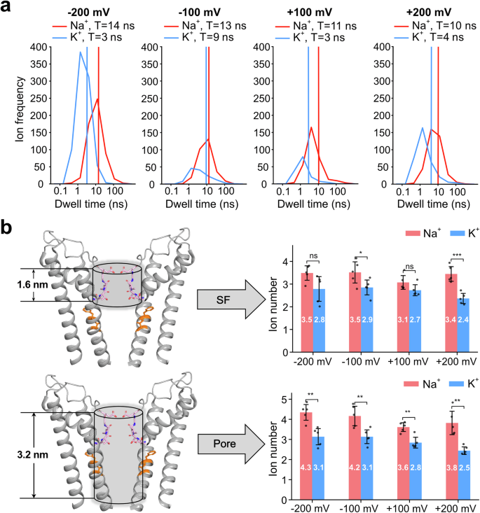 Fig. 6: Ion dwell time and density in the pore.