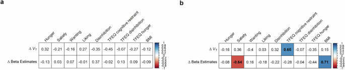 Fig. 4: Group- and condition-specific correlation coefficients (Spearman rank correlation) between changes of visual analog scale (VAS) assessments, VT and fMRI beta estimates as well as TFEQ in.