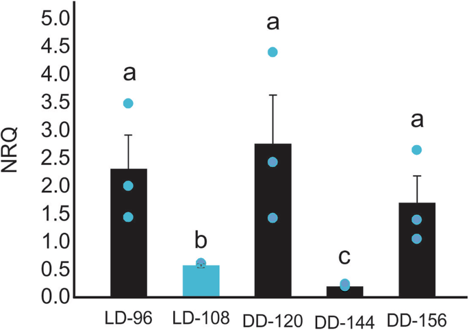 Fig. 2: Oscillations in blsA transcript abundance levels.