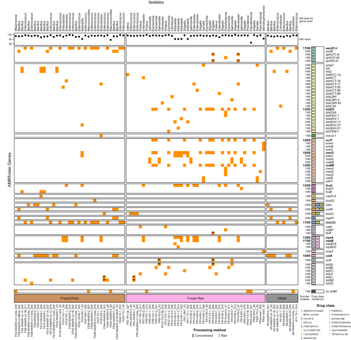 Fig. 4: Presence-absence heatmap representing ARGs detected in isolates using WGS data.