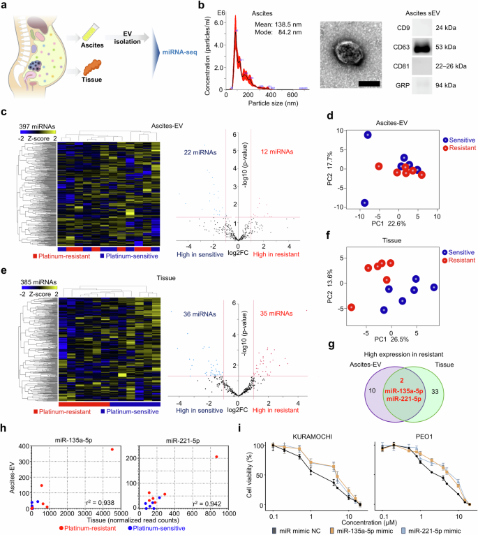Fig. 5: Identifying unique EV-miRNA profiles of PROC.