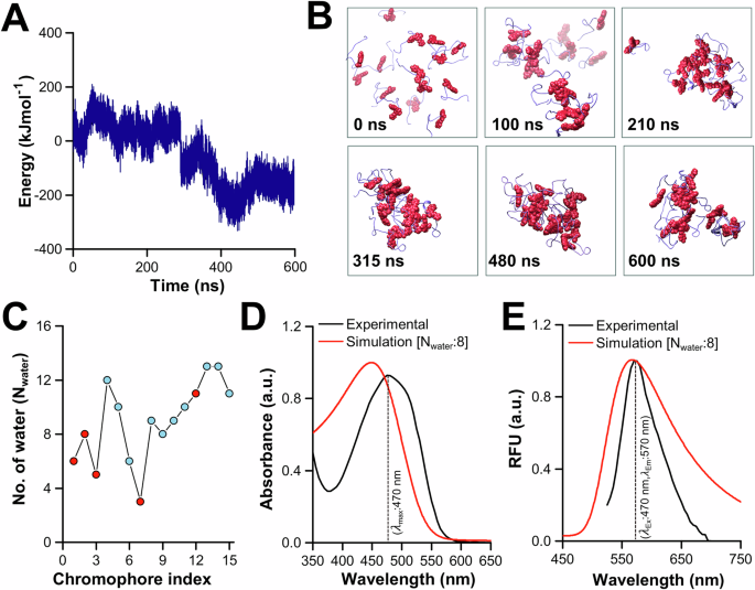 Fig. 4: Computational validation of the proposed aggregation of the CTPF.