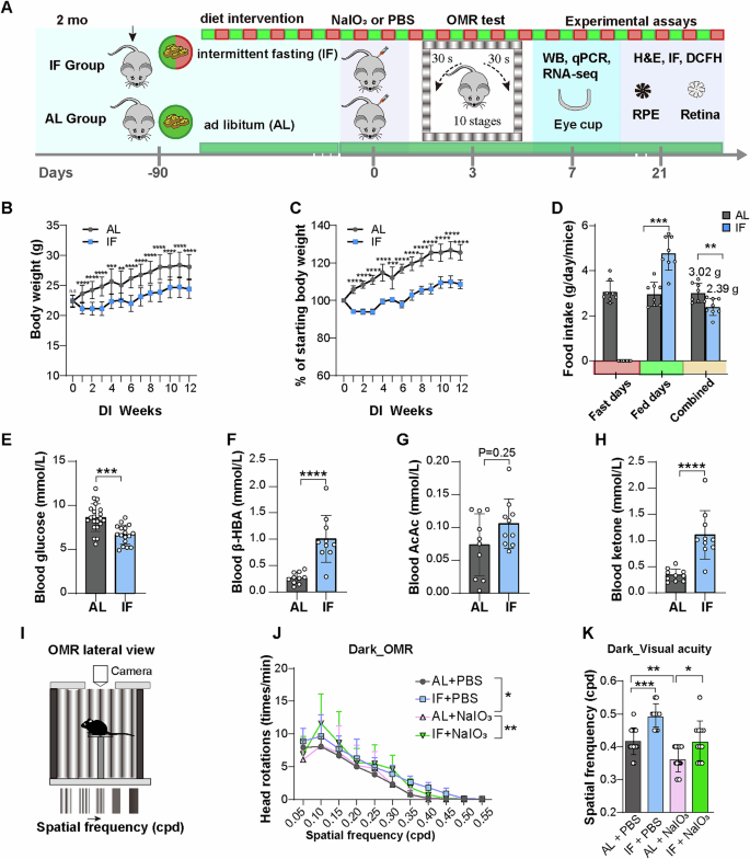 Fig. 1: Effects of IF on physiological parameters and visual function in a NaIO3-induced mouse model of AMD.
