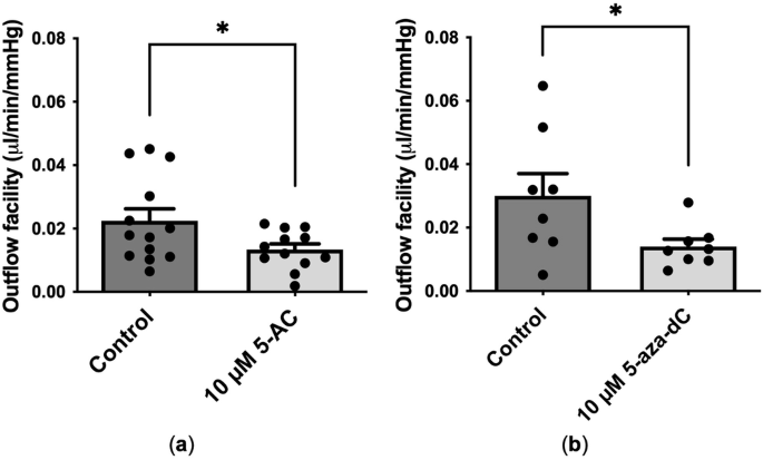 Fig. 1: DNA methylation inhibitors reduced outflow facility of mouse eyes ex vivo.