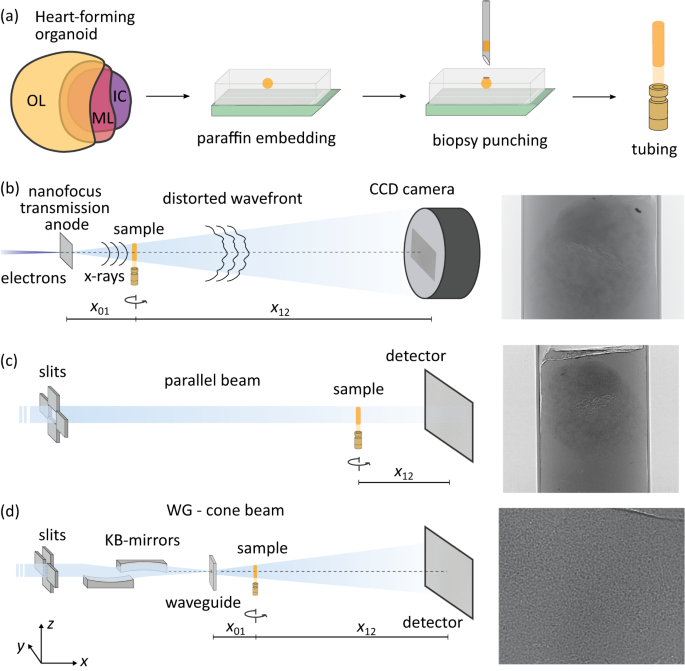 Fig. 2: Sample preparation and X-ray tomography setups.