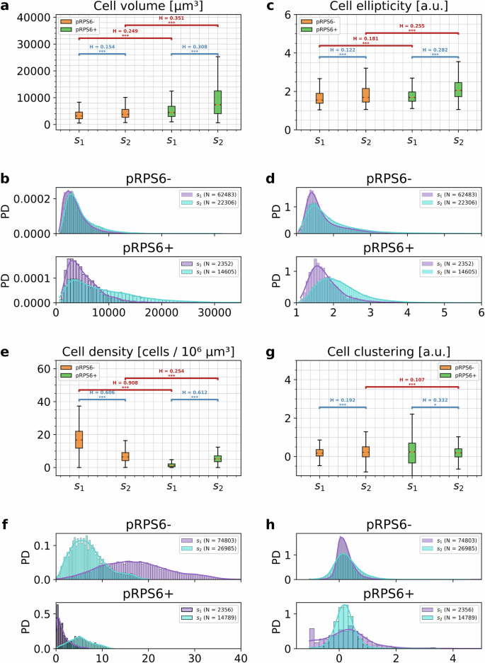 Fig. 4: Quantitative observed cytoarchitectural analysis on pediatric human brain specimens.