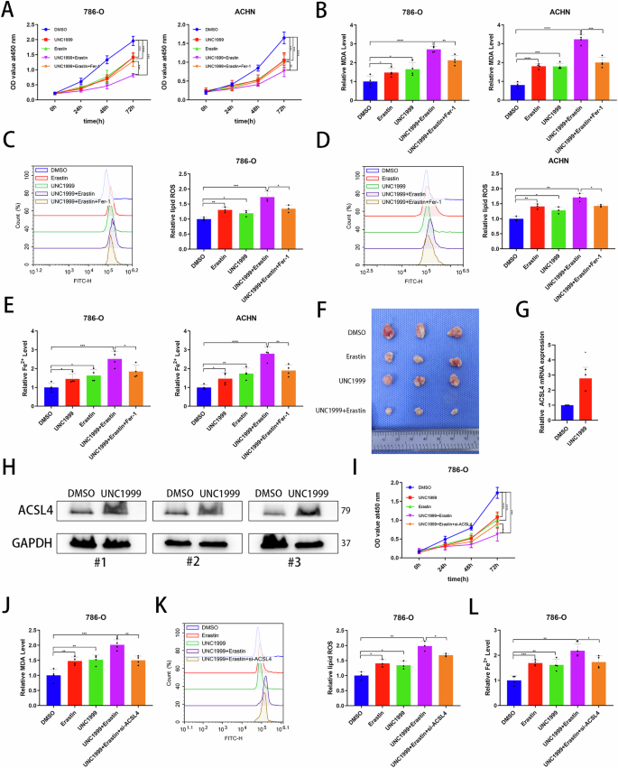 Fig. 7: EZH2 overexpression reversed the ferroptosis-related phenotype reversed induced by SPI1 knockdown.