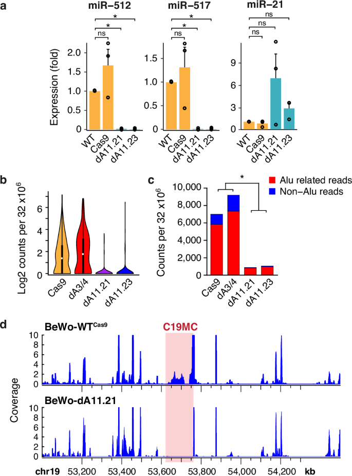 Fig. 2: C19MC small RNA output in the C19MC-dA11-deleted cells.