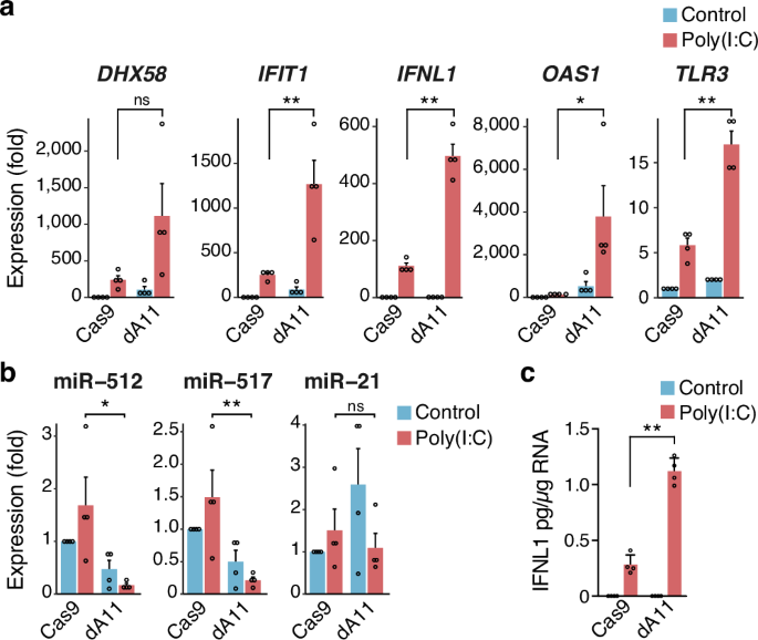 Fig. 4: Interferon response C19MC-deleted human trophoblast stem cells (hTSCs).
