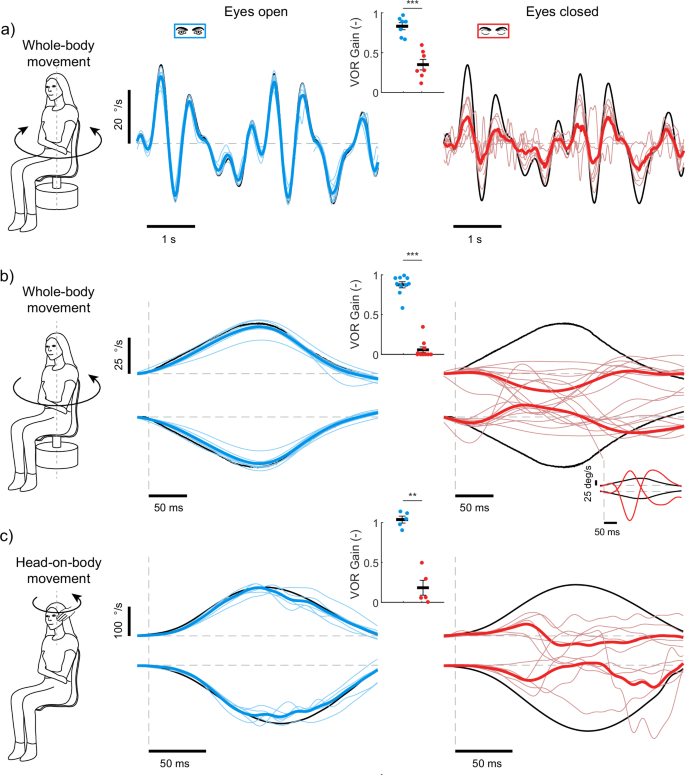 Normal Vor Rapid switching of vestibulo-motor pathways through voluntary eyelid ...
