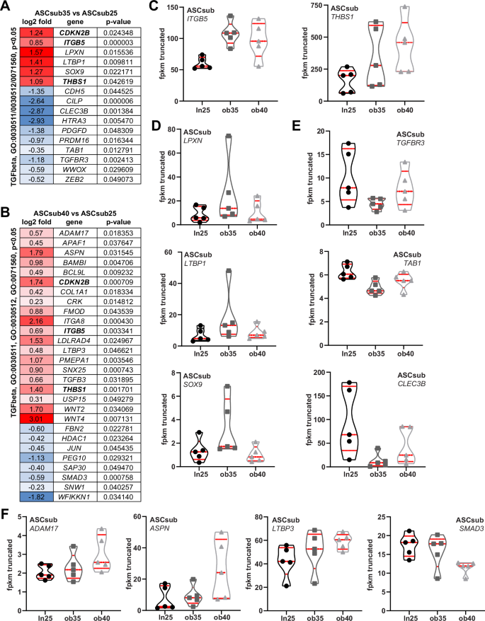 Fig. 2: Deregulated genes of the transforming growth factor-β pathway.