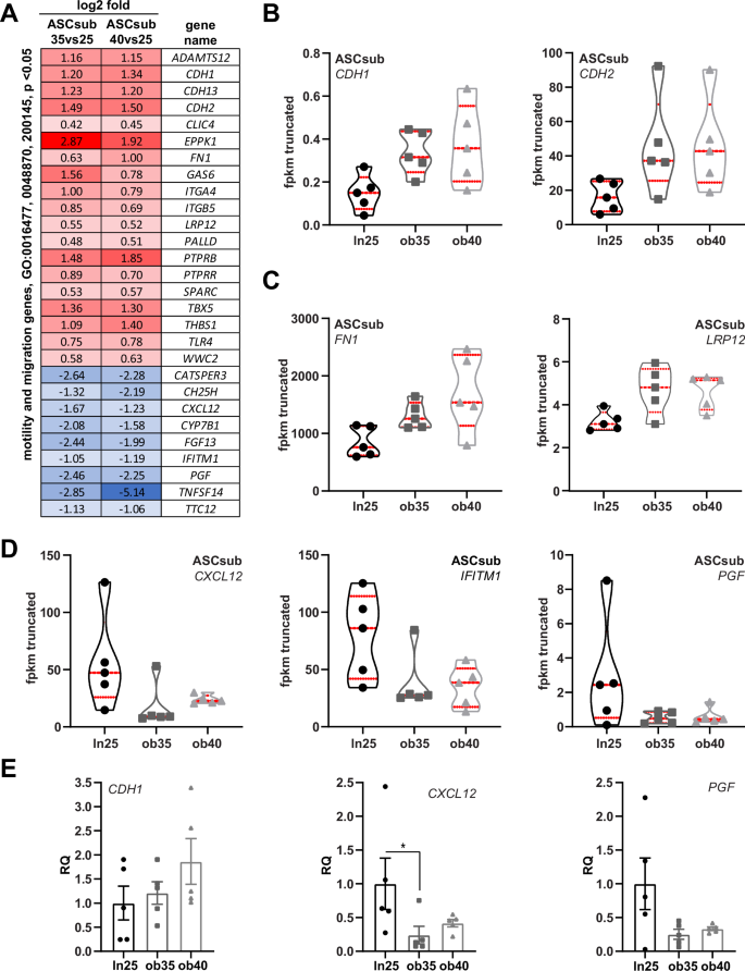 Fig. 3: Motility and migration genes are affected.
