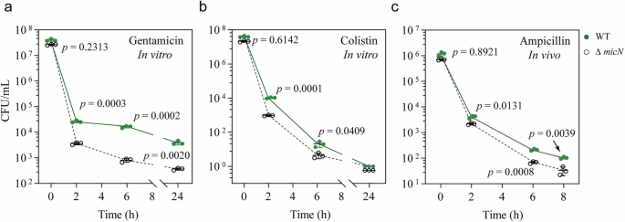 Fig. 2: MicN contributes to persister formation in Salmonella.