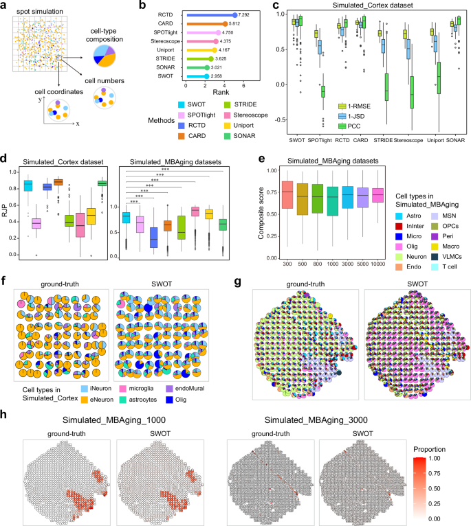 Cell Type Map Inference of cell-type composition and single-cell spatial maps from ...