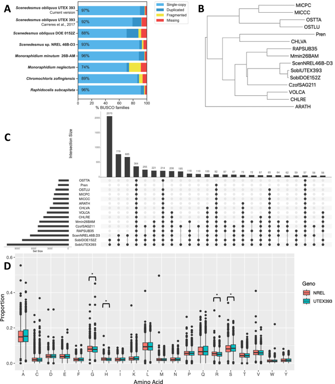 Fig. 1: Comparative analysis and phylogenetic assessment of the Scenedesmus obliquus UTEX393 genome.