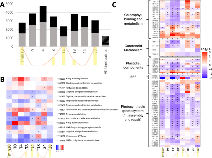 Fig. 3: Transcriptomic analysis of salt-challenged Scenedesmus.