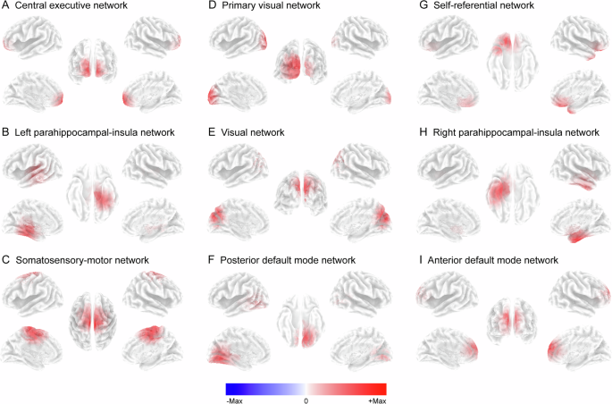 Fig. 3: Spatial distribution of the task-related functional subnetworks detected by using Bayesian NMF (|value| > (µ + σ)).