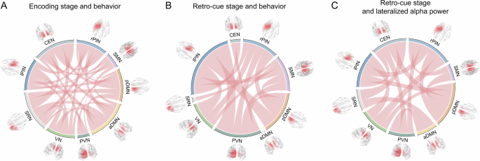 Fig. 6: Stage-specific network patterns and their behavioral relevance.