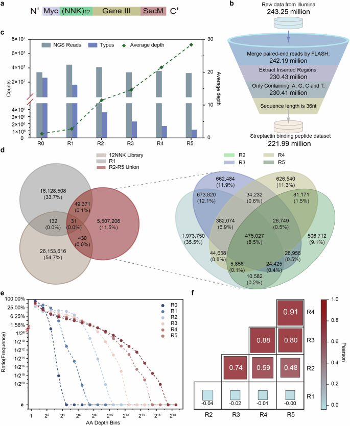 Fig. 2: Large Scale of Streptactin-binding Peptides from Deep RD.