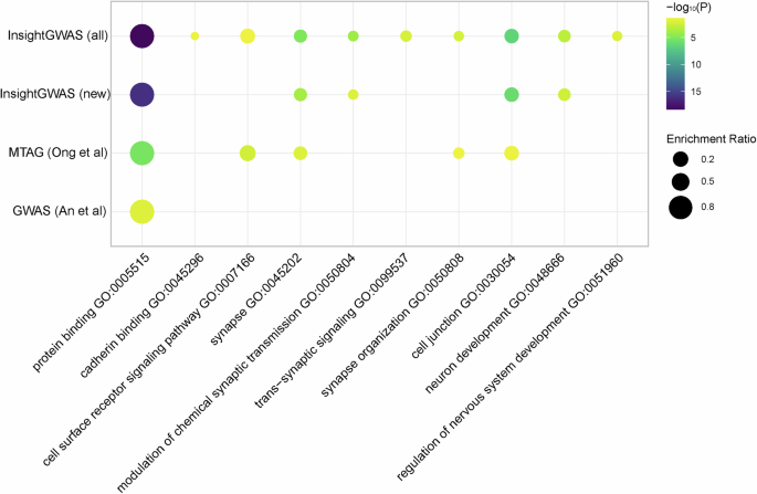 Fig. 5: Pathway enrichment analysis of GERD-associated loci across genetic studies.