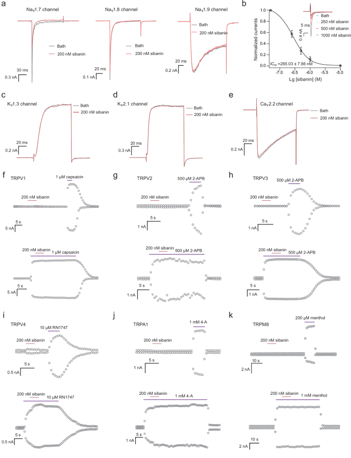 Fig. 3: Sibanin selectively inhibits NaV1.7 channels.