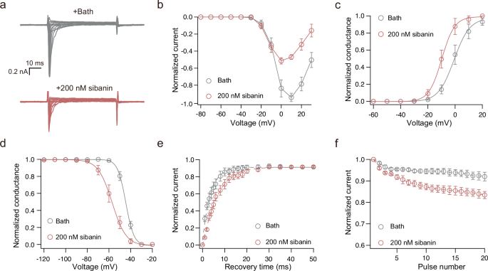 Fig. 4: Sibanin modulates NaV1.7 channel gating dynamics.