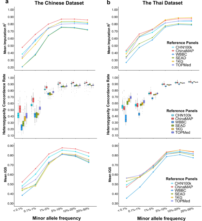 Fig. 2: Evaluation of Imputation Quality Across Reference Panels by Minor Allele Frequency Categories in Chinese and Thai WGS Datasets.