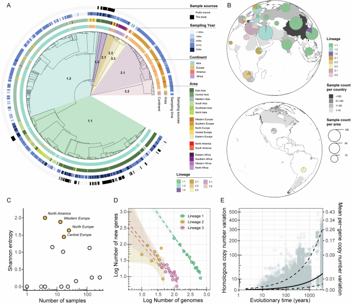 Fig. 1: Global phylogenetic analysis and genomic characterization of B. melitensis lineages.