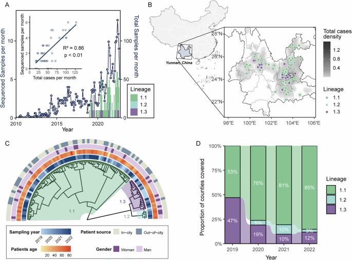 Fig. 2: Temporal, spatial, and phylogenetic patterns of B. melitensis lineages in Yunnan.