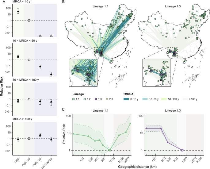 Fig. 5: Relative risk of spatial transmission across evolutionary timescales and lineages.