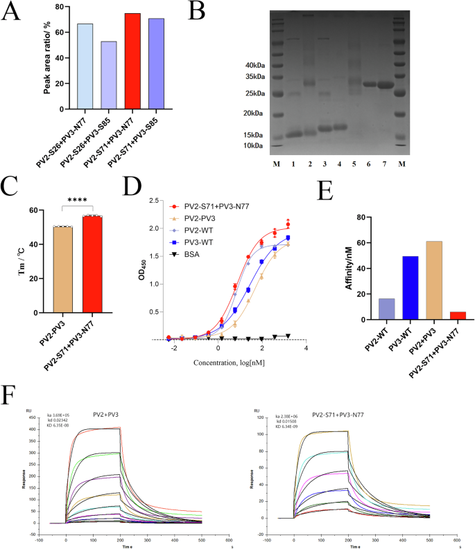 Fig. 3: Evaluation of BsNb.