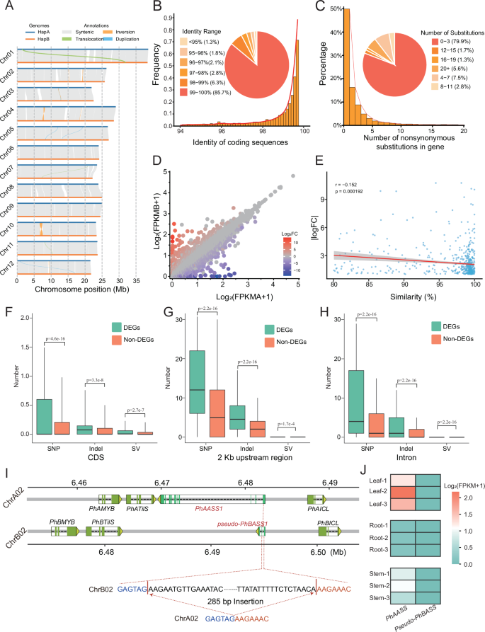 Fig. 2: Allelic variation and allele-specific expression in the studied cointree.