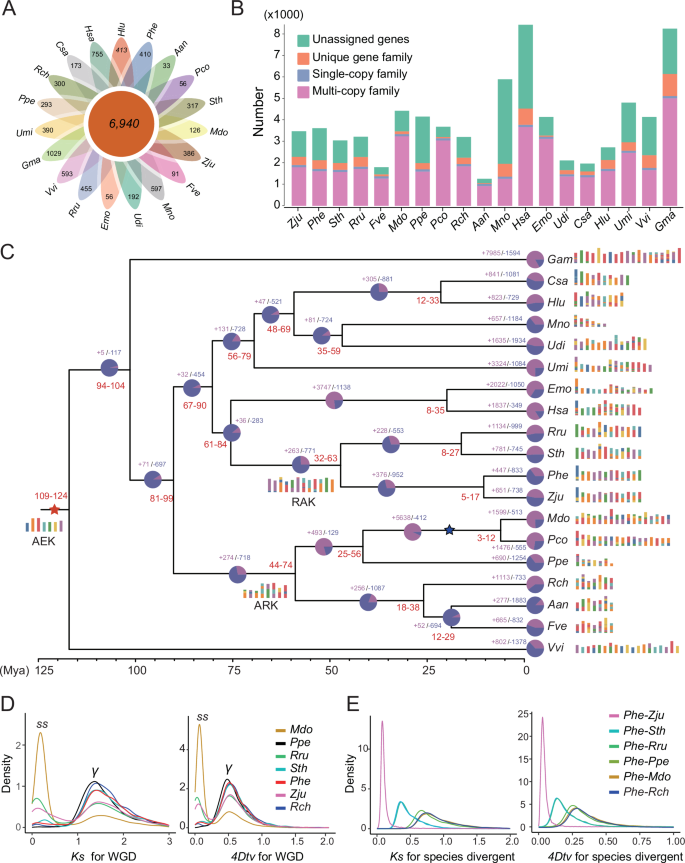 Fig. 3: Comparative genomics and evolution.