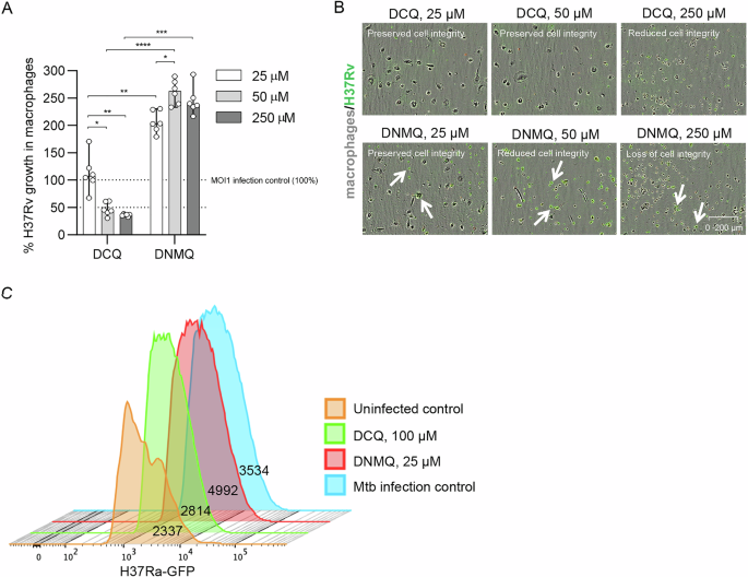 Fig. 5: Efficacy of DCQ and DMNQ to reduce growth of M. tuberculosis in primary human macrophages.