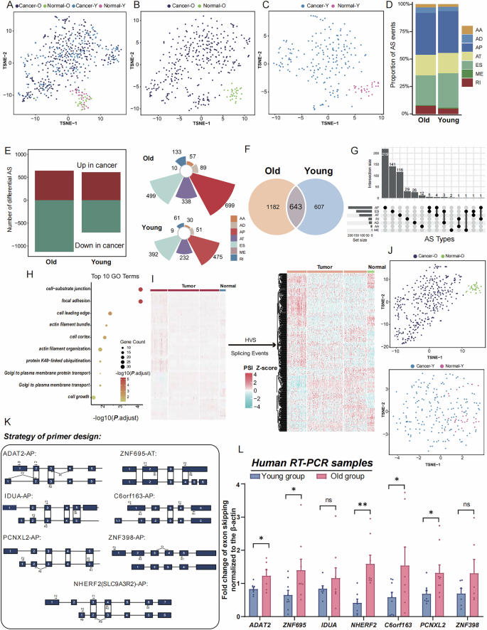 Fig. 1: Comparison of Abnormal Splicing Events in Older Adults and Young Breast Cancer Patients.
