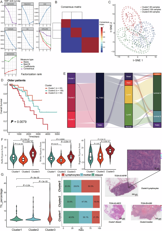 Fig. 2: Specific Differential Splicing Events in the Older Adults Lead to Three Splicing Patterns.
