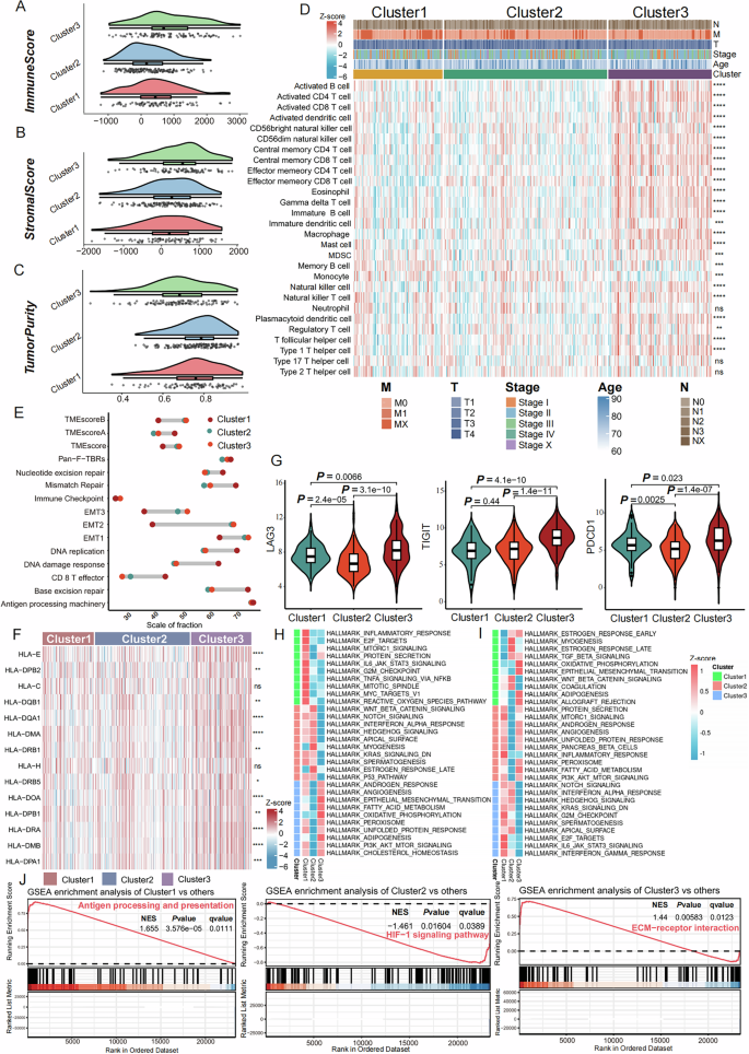 Fig. 3: Different TME and Signaling Pathway Characteristics of the Three AS RNA Processing Patterns.