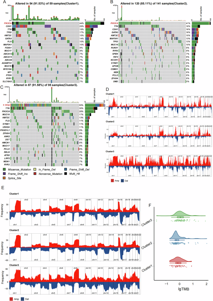 Fig. 4: Different Somatic Mutation Characteristics of the Three AS RNA Processing Patterns.
