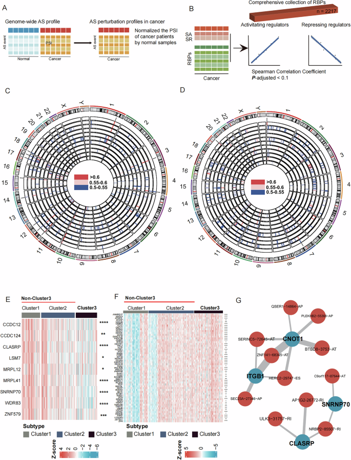 Fig. 5: Identification of Potential RNA-Binding Protein (RBP).