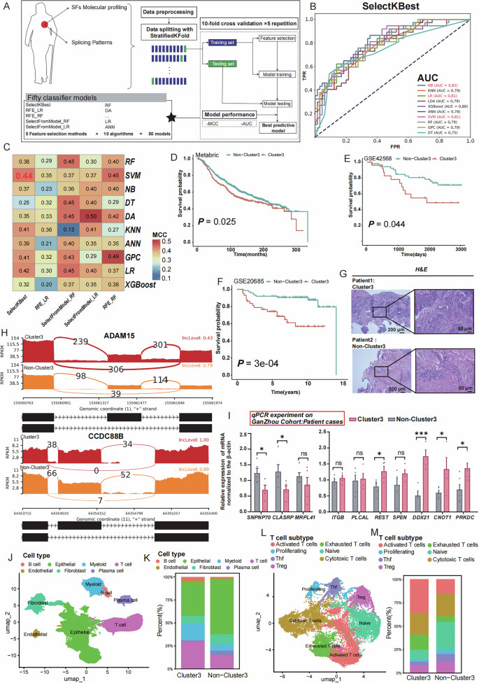 Fig. 6: Construction and Validation of the SelectKBest-SVM Classifier.