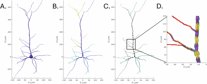 Fig. 3: A demonstration of procedure used to decompose the cellular structure into a set of average lines segments.