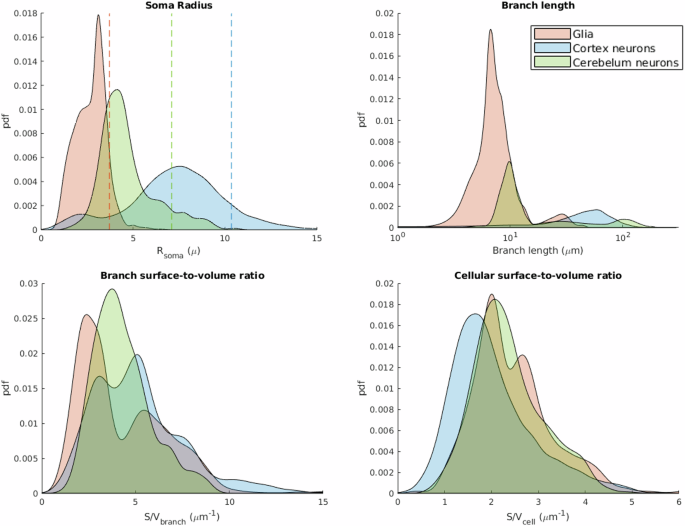 Fig. 6: Distributions of soma radius, branch length, branch surface-to-volume ratio, and cellular surface-to-volume ratio (grouped by general cell types).