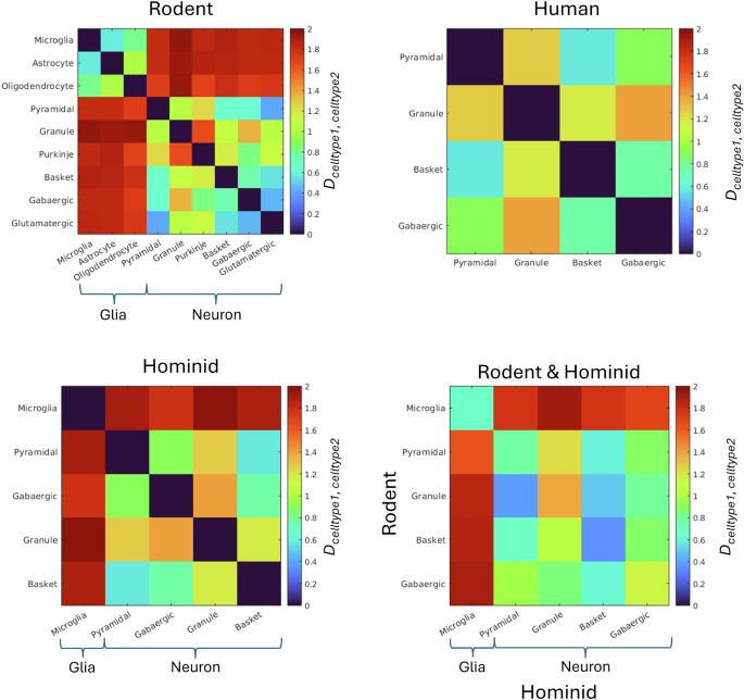Fig. 9: Topological comparison between cell types.