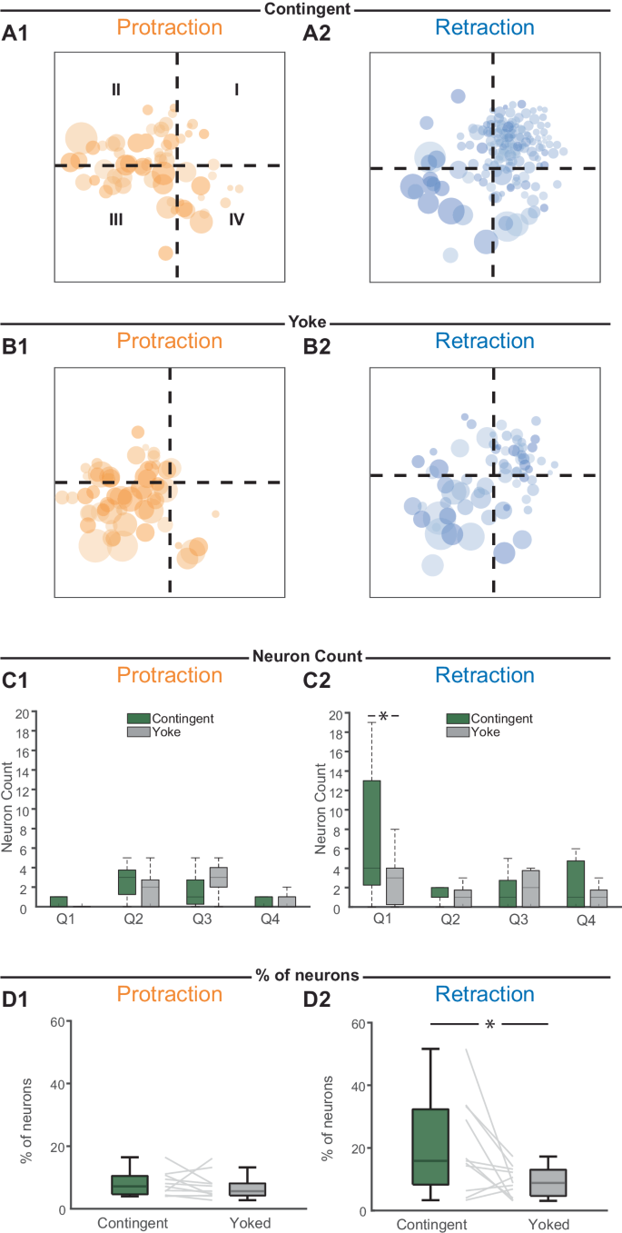 Fig. 4: Contingent training increases neuronal recruitment and spatial localization in quadrant I, for the retraction module.
