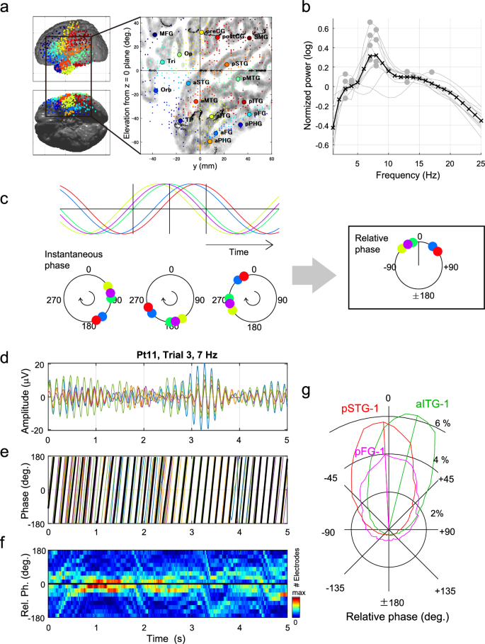 Fig. 1: Relative phase analysis.