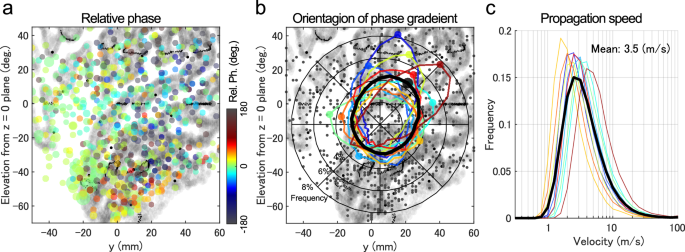 Fig. 2: Spatial distribution of relative phases.